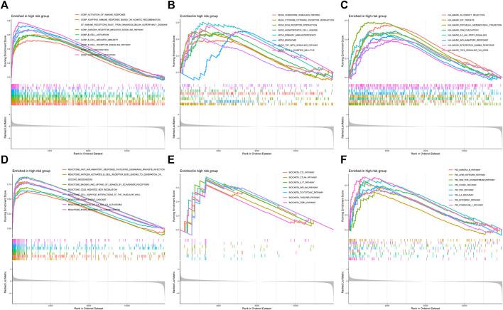 https://cdn.ncbi.nlm.nih.gov/pmc/blobs/4a02/9515514/6c9607844073/fmolb-09-974722-g010.jpg