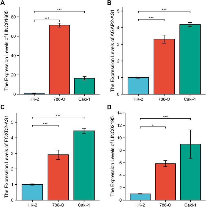 https://cdn.ncbi.nlm.nih.gov/pmc/blobs/4a02/9515514/db1d921d60a1/fmolb-09-974722-g014.jpg