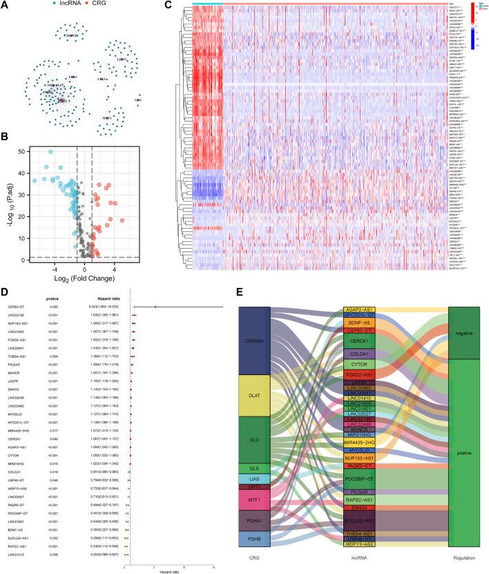 https://cdn.ncbi.nlm.nih.gov/pmc/blobs/4a02/9515514/ef04d2ddec26/fmolb-09-974722-g002.jpg