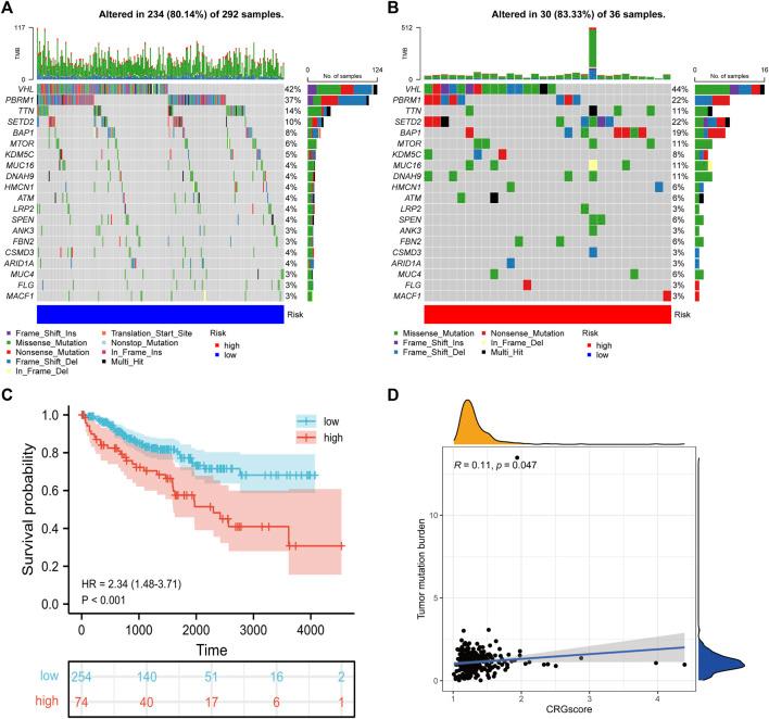 https://cdn.ncbi.nlm.nih.gov/pmc/blobs/4a02/9515514/f962516a9c87/fmolb-09-974722-g012.jpg