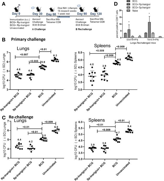 https://cdn.ncbi.nlm.nih.gov/pmc/blobs/4a05/7751440/05212661ab94/fimmu-11-592333-g007.jpg