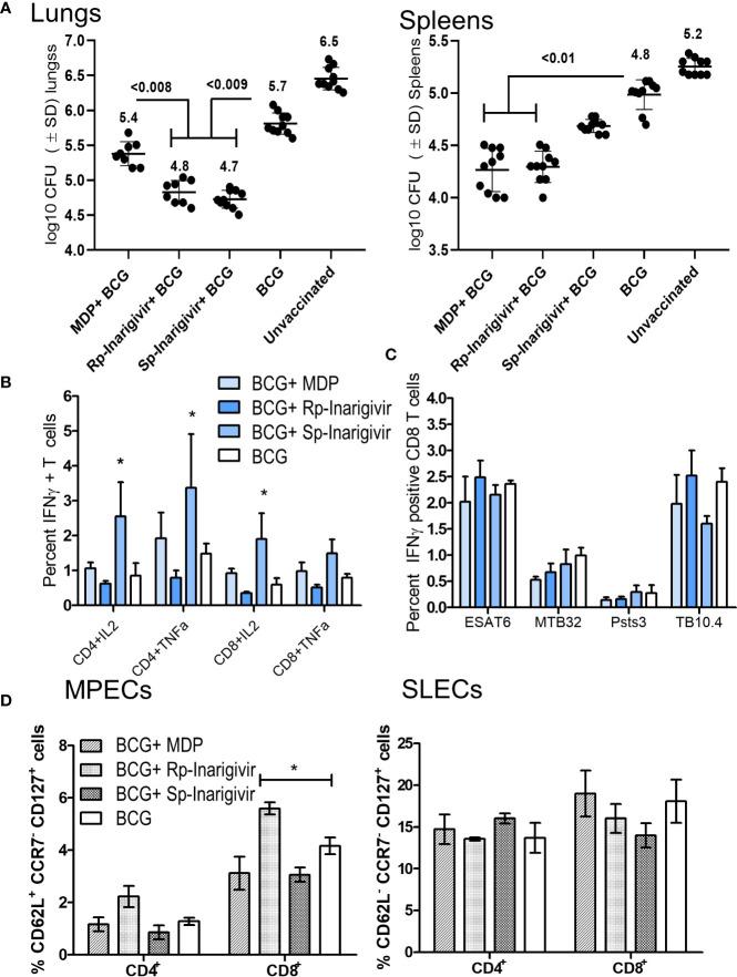https://cdn.ncbi.nlm.nih.gov/pmc/blobs/4a05/7751440/ac2e154fde8a/fimmu-11-592333-g006.jpg