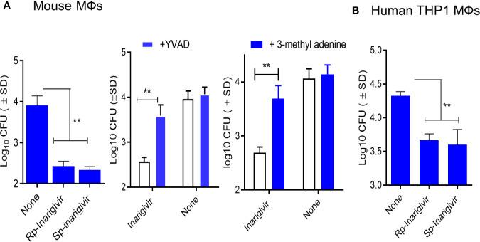 https://cdn.ncbi.nlm.nih.gov/pmc/blobs/4a05/7751440/c0195c0ead69/fimmu-11-592333-g004.jpg