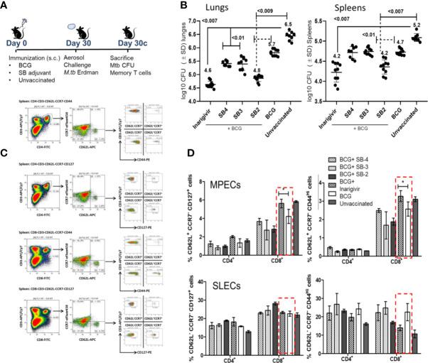 https://cdn.ncbi.nlm.nih.gov/pmc/blobs/4a05/7751440/d7550a4f2813/fimmu-11-592333-g005.jpg