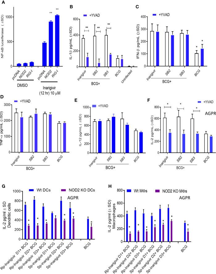 https://cdn.ncbi.nlm.nih.gov/pmc/blobs/4a05/7751440/dad9dba63a28/fimmu-11-592333-g003.jpg
