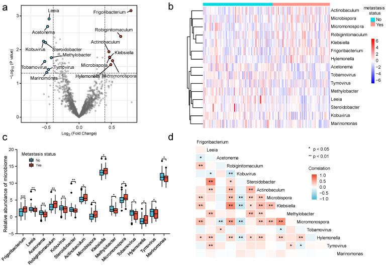 https://cdn.ncbi.nlm.nih.gov/pmc/blobs/4a07/9856768/8415b929c6fc/cancers-15-00509-g002.jpg