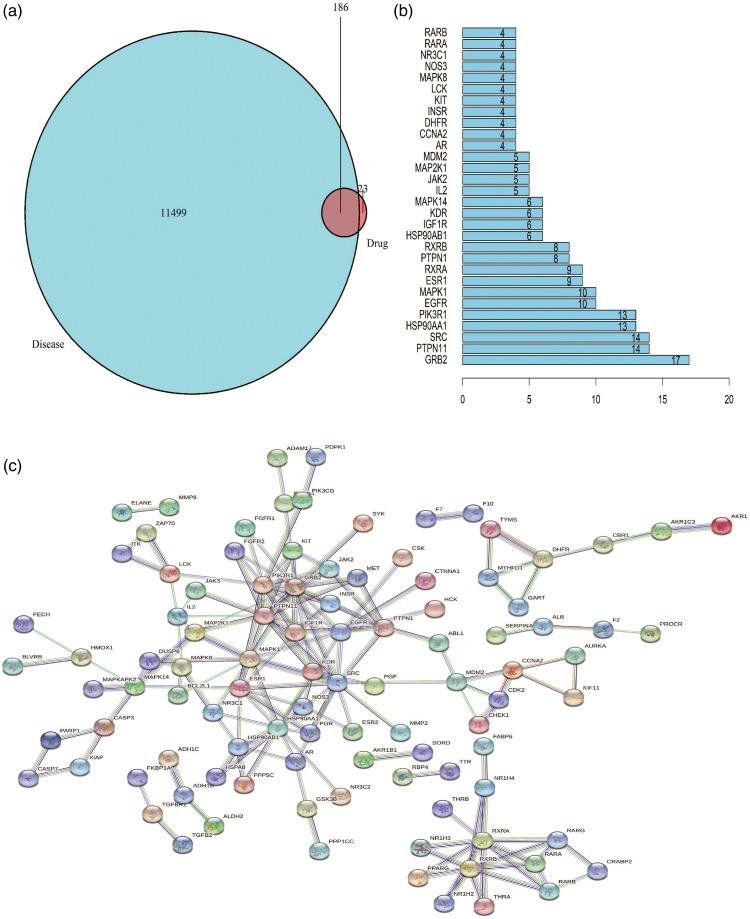 https://cdn.ncbi.nlm.nih.gov/pmc/blobs/4a08/8743941/ad4b06e8f243/10.1177_20587384211063962-fig2.jpg