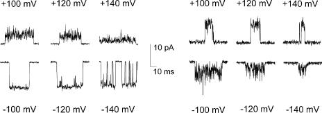 https://cdn.ncbi.nlm.nih.gov/pmc/blobs/4a09/2737228/364f4438fe81/JGP_200910266_LW_Fig3.jpg