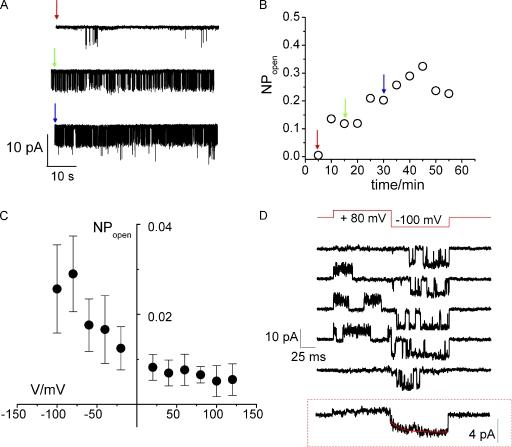 https://cdn.ncbi.nlm.nih.gov/pmc/blobs/4a09/2737228/c3cc2cbb8a91/JGP_200910266_RGB_Fig8.jpg