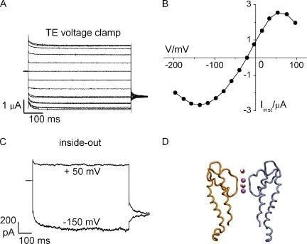 https://cdn.ncbi.nlm.nih.gov/pmc/blobs/4a09/2737228/ddc4bfe903a1/JGP_200910266_RGB_Fig1.jpg