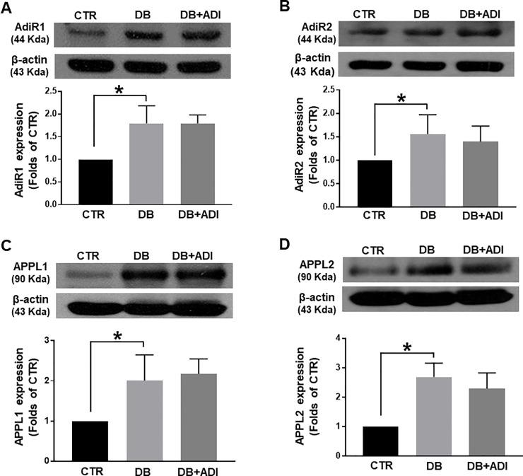 https://cdn.ncbi.nlm.nih.gov/pmc/blobs/4a0d/7077821/2cd3d384942f/pone.0230227.g003.jpg