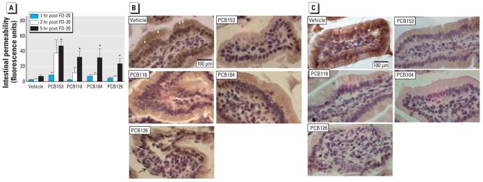 https://cdn.ncbi.nlm.nih.gov/pmc/blobs/4a0e/2920918/97adf8d18d26/ehp-118-976f6.jpg