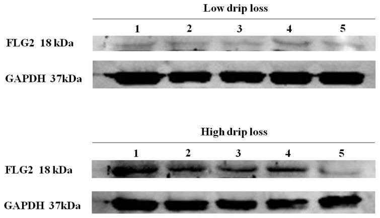 https://cdn.ncbi.nlm.nih.gov/pmc/blobs/4a0e/8902207/9c92200ef6ef/ab-21-0220f2.jpg