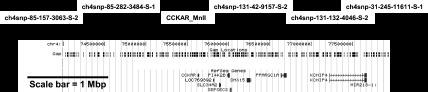 https://cdn.ncbi.nlm.nih.gov/pmc/blobs/4a0f/3651647/a8e43b679615/zh10081368070002.jpg