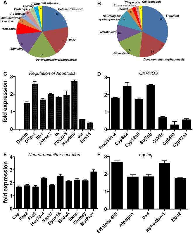 https://cdn.ncbi.nlm.nih.gov/pmc/blobs/4a0f/5799194/552f1a0f86f7/41598_2018_20836_Fig2_HTML.jpg