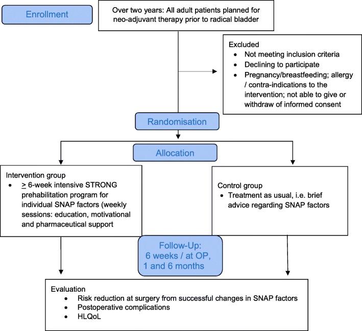 https://cdn.ncbi.nlm.nih.gov/pmc/blobs/4a0f/9027477/42a103c6dee9/13063_2022_6272_Fig2_HTML.jpg