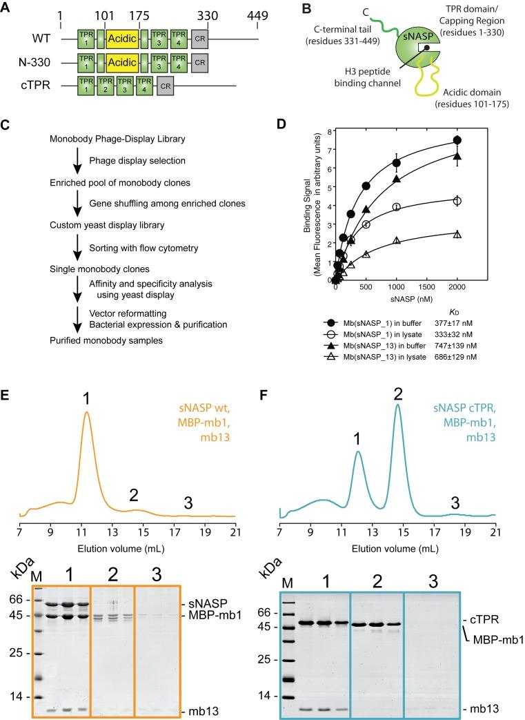 https://cdn.ncbi.nlm.nih.gov/pmc/blobs/4a10/5314797/fd3e27f604ab/gkw892fig4.jpg