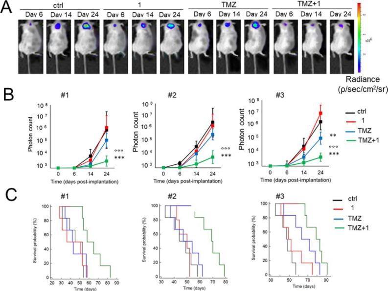 https://cdn.ncbi.nlm.nih.gov/pmc/blobs/4a10/9019264/2dcff22d472c/cdr-4-343.fig.7.jpg