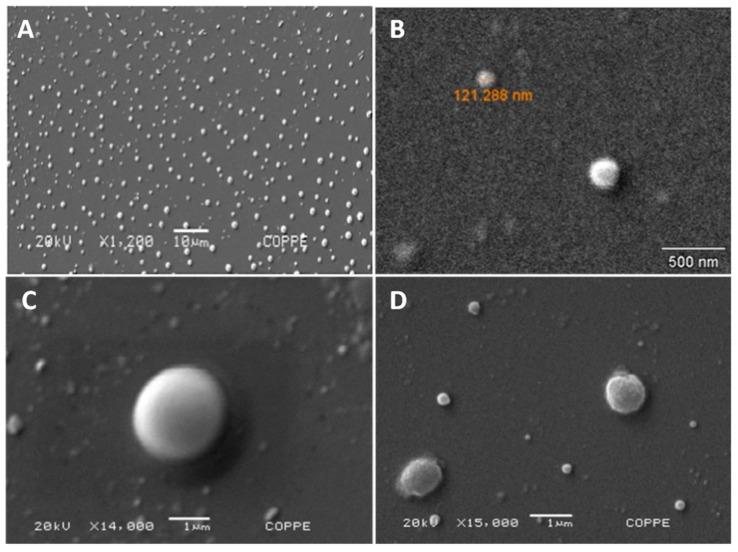 https://cdn.ncbi.nlm.nih.gov/pmc/blobs/4a12/6385085/e474eb8fd8eb/molecules-24-00471-g001.jpg
