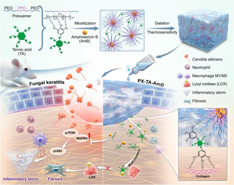 https://cdn.ncbi.nlm.nih.gov/pmc/blobs/4a15/12051119/1de14ff0ed71/sc1.jpg