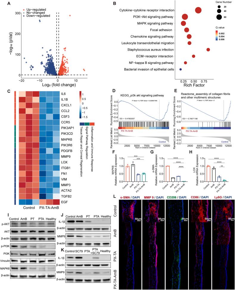 https://cdn.ncbi.nlm.nih.gov/pmc/blobs/4a15/12051119/416809c2fb2c/gr7.jpg
