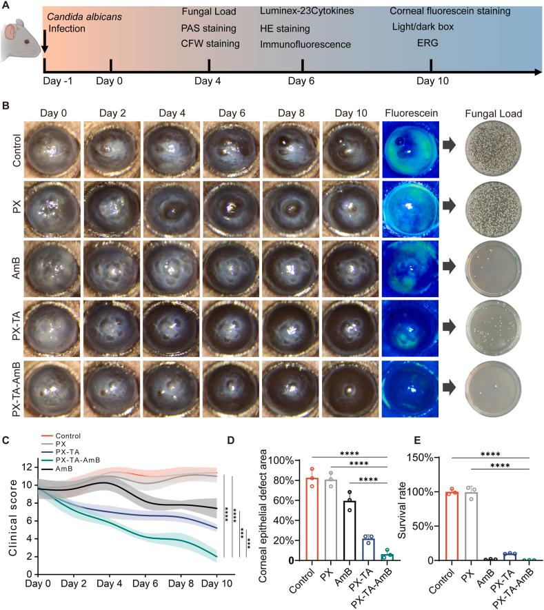 https://cdn.ncbi.nlm.nih.gov/pmc/blobs/4a15/12051119/bc3d192fa5e0/gr4.jpg