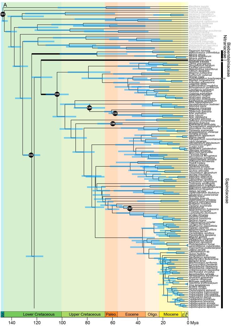 https://cdn.ncbi.nlm.nih.gov/pmc/blobs/4a16/10028101/318385cef301/fpls-14-1063174-g004A.jpg
