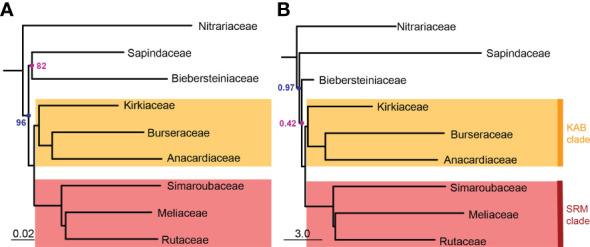 https://cdn.ncbi.nlm.nih.gov/pmc/blobs/4a16/10028101/daf2c0193a40/fpls-14-1063174-g003.jpg