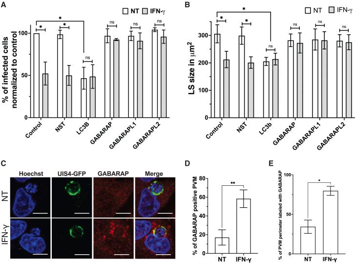 https://cdn.ncbi.nlm.nih.gov/pmc/blobs/4a17/12131254/fccfbebd05fa/gr5.jpg