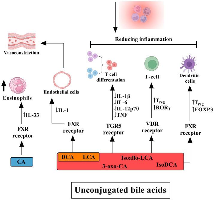 https://cdn.ncbi.nlm.nih.gov/pmc/blobs/4a18/12061941/594a04126cd0/fmicb-16-1577724-g004.jpg