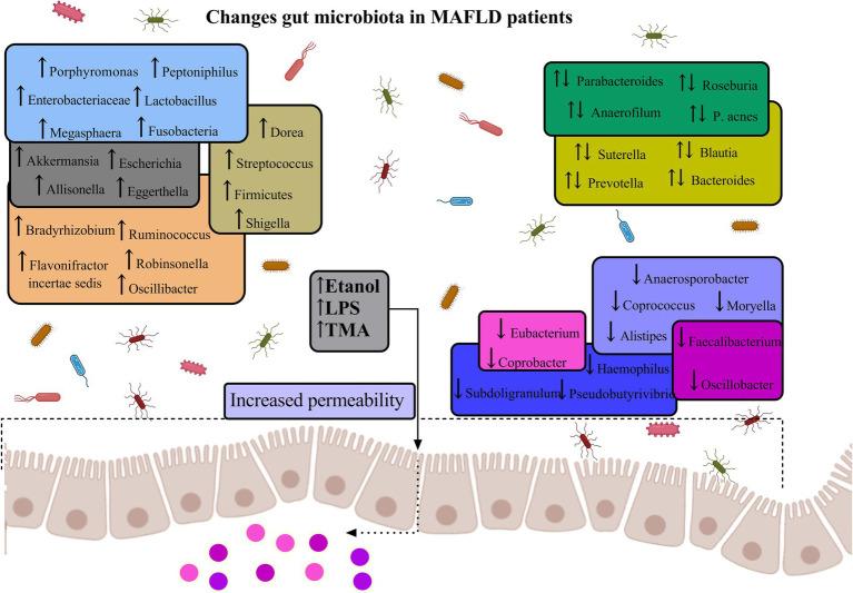 https://cdn.ncbi.nlm.nih.gov/pmc/blobs/4a18/12061941/65020fd099d0/fmicb-16-1577724-g005.jpg