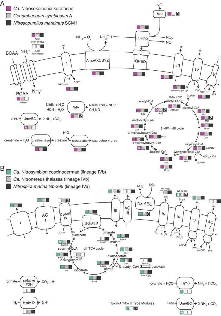 https://cdn.ncbi.nlm.nih.gov/pmc/blobs/4a19/11812461/c23f27c42169/wrae069f6.jpg