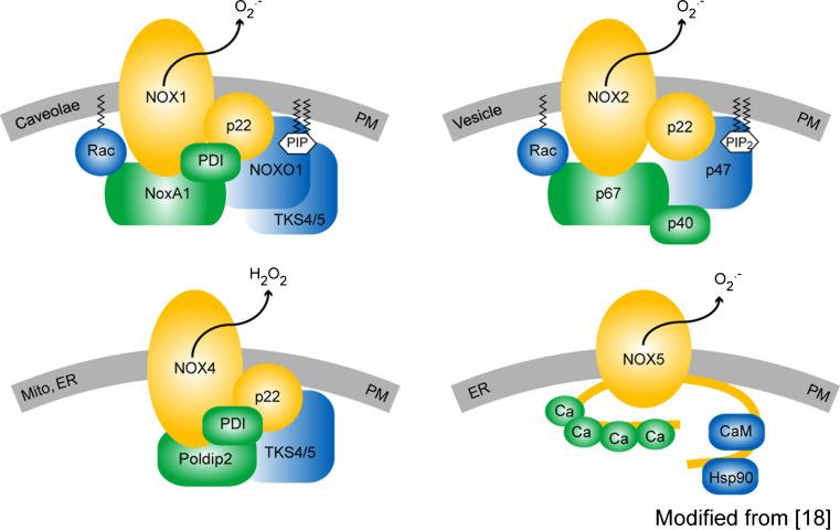 https://cdn.ncbi.nlm.nih.gov/pmc/blobs/4a1a/11114767/727e1ed9c30d/18_2012_1010_Fig1_HTML.jpg
