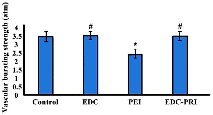 https://cdn.ncbi.nlm.nih.gov/pmc/blobs/4a1b/6257806/59e13e26000c/etm-16-06-5053-g01.jpg