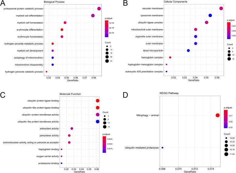 https://cdn.ncbi.nlm.nih.gov/pmc/blobs/4a1e/8638521/59dfc19033ff/12866_2021_2392_Fig4_HTML.jpg