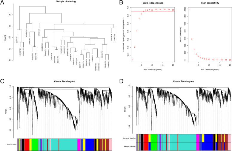 https://cdn.ncbi.nlm.nih.gov/pmc/blobs/4a1e/8638521/86bfe580ede5/12866_2021_2392_Fig2_HTML.jpg
