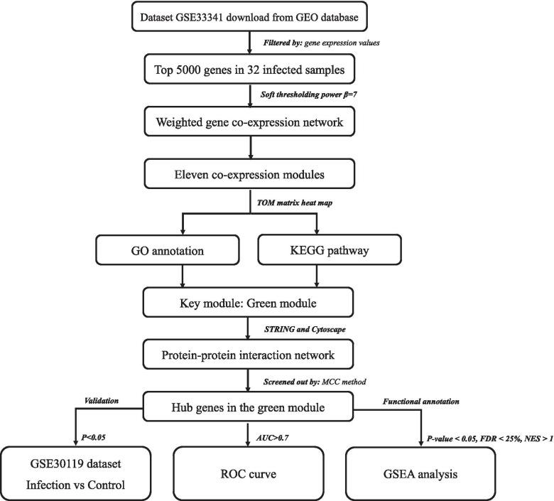 https://cdn.ncbi.nlm.nih.gov/pmc/blobs/4a1e/8638521/895001aec1b4/12866_2021_2392_Fig1_HTML.jpg