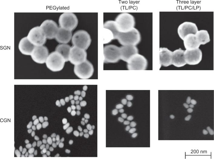 https://cdn.ncbi.nlm.nih.gov/pmc/blobs/4a1f/3794839/e0348950825d/ijn-8-3603Fig4.jpg