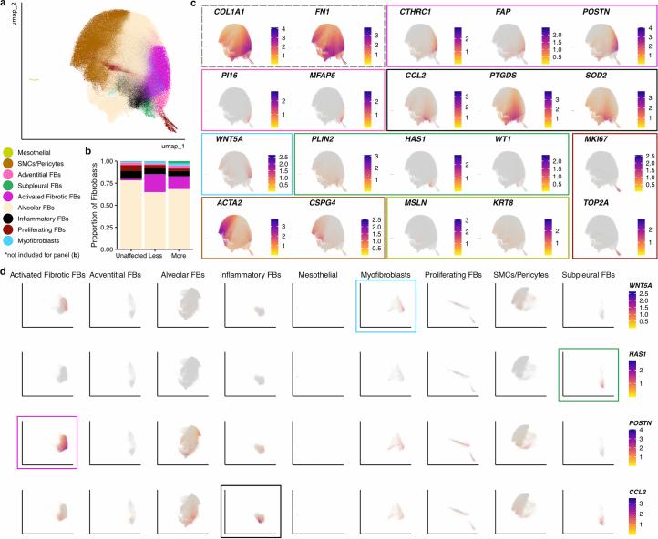 https://cdn.ncbi.nlm.nih.gov/pmc/blobs/4a21/11906353/1f9dd1196e1c/41588_2025_2080_Fig11_ESM.jpg