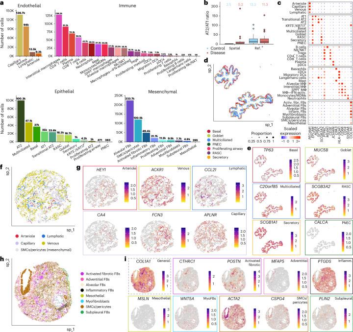 https://cdn.ncbi.nlm.nih.gov/pmc/blobs/4a21/11906353/2c81a62783ce/41588_2025_2080_Fig2_HTML.jpg
