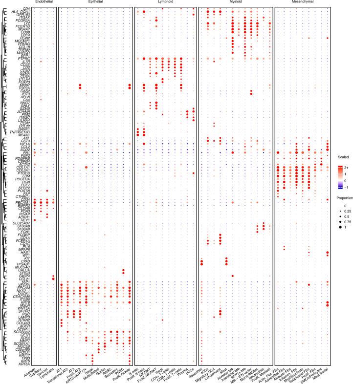 https://cdn.ncbi.nlm.nih.gov/pmc/blobs/4a21/11906353/374aca93d7aa/41588_2025_2080_Fig7_ESM.jpg