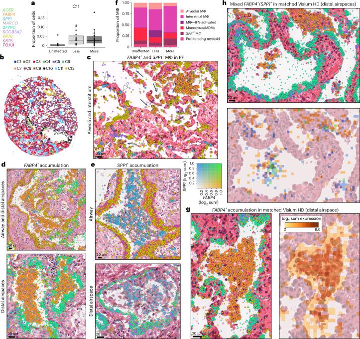 https://cdn.ncbi.nlm.nih.gov/pmc/blobs/4a21/11906353/7d56cb365123/41588_2025_2080_Fig5_HTML.jpg