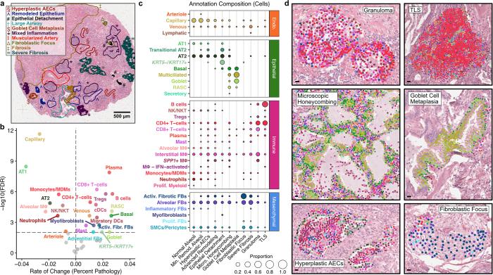 https://cdn.ncbi.nlm.nih.gov/pmc/blobs/4a21/11906353/9415abee9a5d/41588_2025_2080_Fig13_ESM.jpg