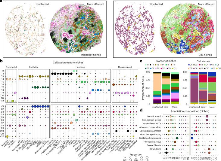https://cdn.ncbi.nlm.nih.gov/pmc/blobs/4a21/11906353/bbf031043deb/41588_2025_2080_Fig3_HTML.jpg