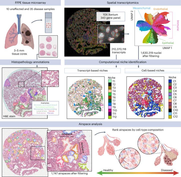 https://cdn.ncbi.nlm.nih.gov/pmc/blobs/4a21/11906353/ccae5fa8cf2f/41588_2025_2080_Fig1_HTML.jpg