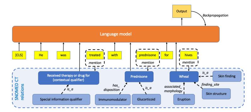 https://cdn.ncbi.nlm.nih.gov/pmc/blobs/4a23/11494256/32a8d30d11c0/medinform_v12i1e62924_fig3.jpg
