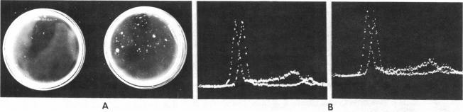https://cdn.ncbi.nlm.nih.gov/pmc/blobs/4a25/344995/a885daea5acb/pnas00607-0141-a.jpg