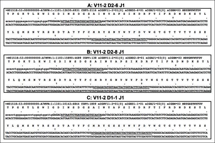 https://cdn.ncbi.nlm.nih.gov/pmc/blobs/4a25/4714975/8a1676e9cfdf/elife-09083-fig1-figsupp2.jpg