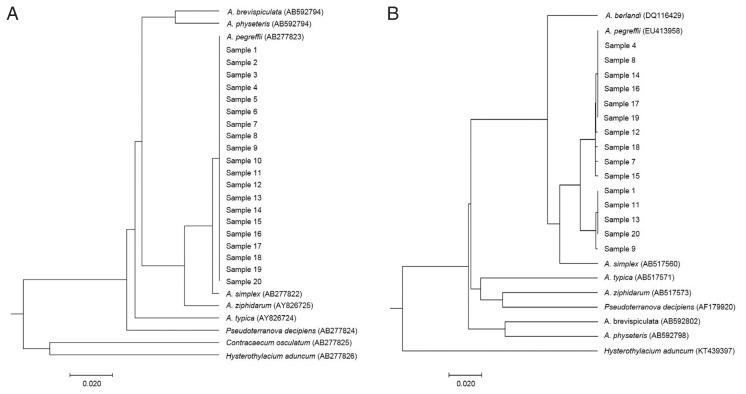 https://cdn.ncbi.nlm.nih.gov/pmc/blobs/4a27/6526215/3d41c8310b93/kjp-57-2-207f2.jpg
