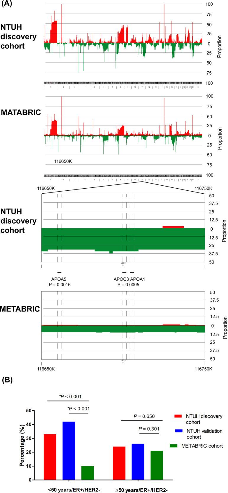 https://cdn.ncbi.nlm.nih.gov/pmc/blobs/4a27/8257799/01b7a9a4f1cd/41523_2021_299_Fig2_HTML.jpg